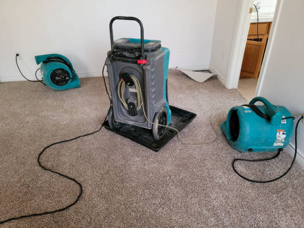 Best Water damage restoration cost  in Indian River, MI