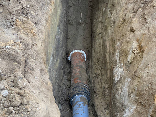 Best Flood damage cleanup  in Indian River, MI