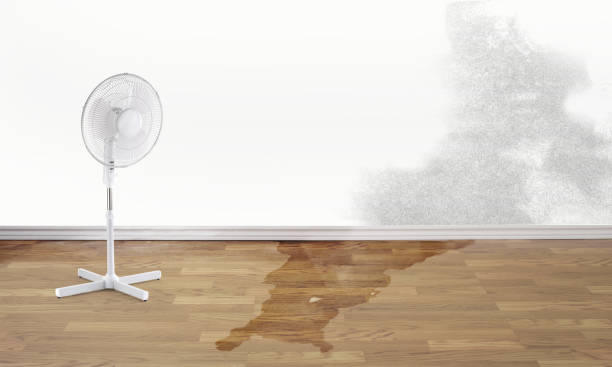 Best Ceiling water damage repair  in Indian River, MI