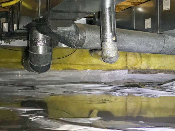 Best Water damage restoration near me  in Indian River, MI
