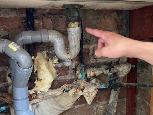 Best Basement water damage restoration  in Indian River, MI