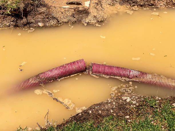 Best 24/7 water damage repair  in Indian River, MI