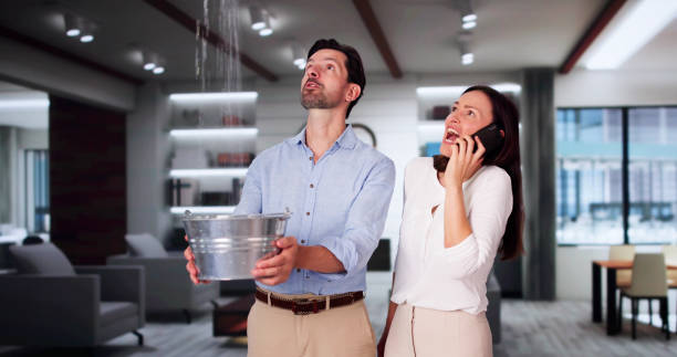 Best Water damage contractors near me  in Indian River, MI