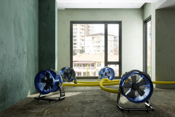Best Water damage restoration near me  in Indian River, MI